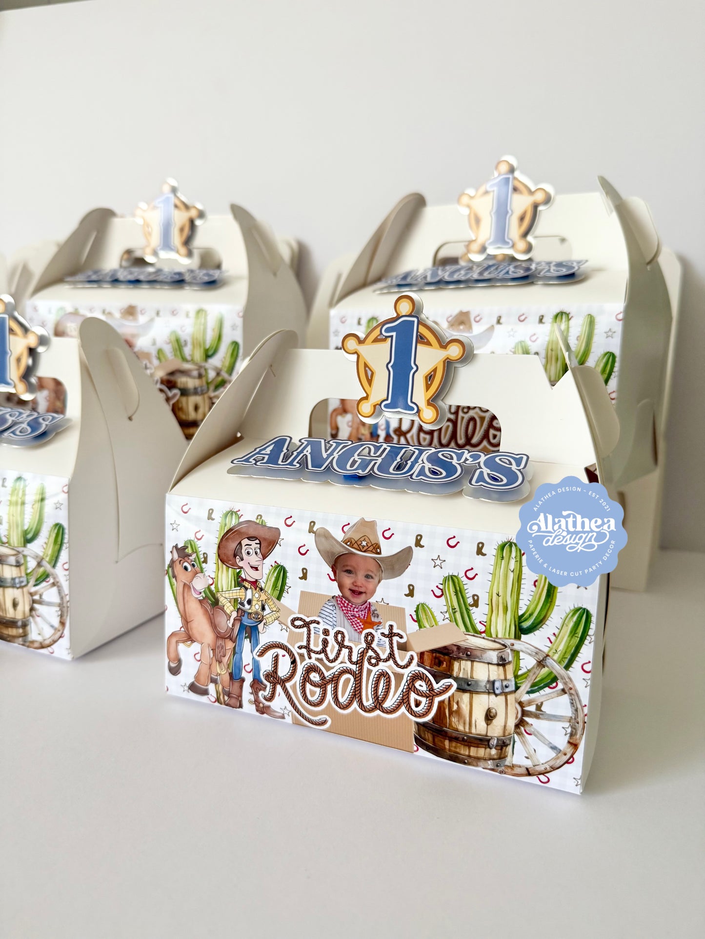 My First Rodeo Party Boxes